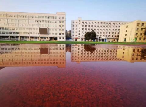 河南好的公办中专排名学校（河南好的公办中专排名学校名单）