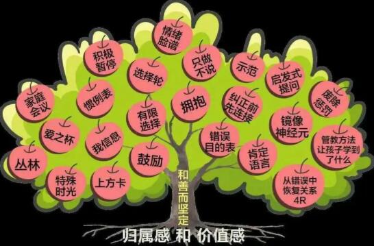 为什么要奖励学生学习？正面管教！